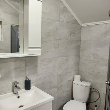 Apartment куцанівка House Yablunytsya